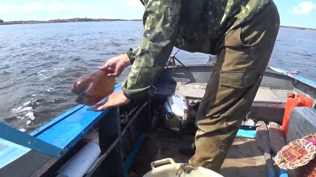 Рыбалка в Арктике! КАК ДРАВЯТ ЗМЕЙКУ ЯКОРЕМ В БЕЛОМ МОРЕ КАРЕЛЬСКИЕ РЫБАКИ, И ЛОВЯТ СИГОВ! смотреть онлайн