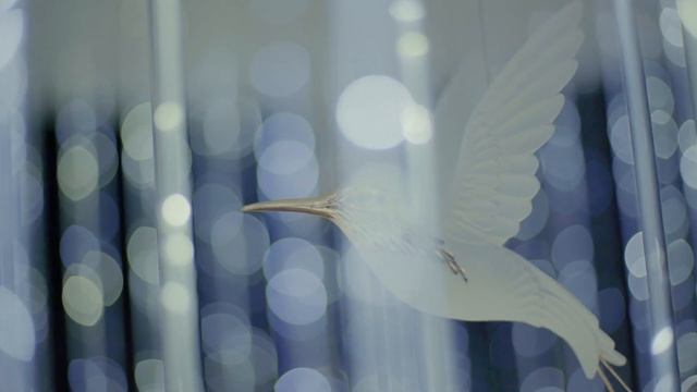 Новинка от фабрики Sagarti - Alba Collection смотреть онлайн