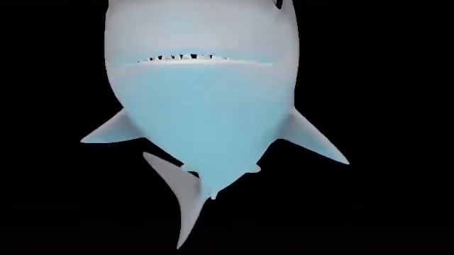 Тик ток акула смотреть онлайн