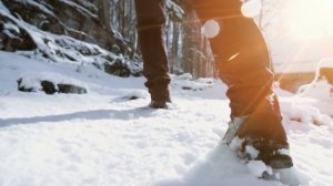 Антарктида Тайны ледового континента