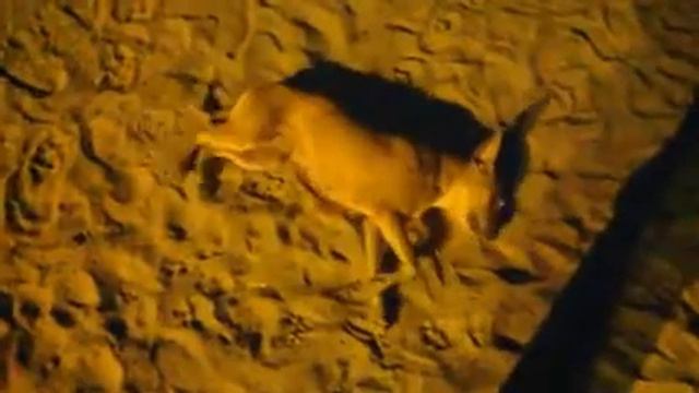 ambra ptb смотреть онлайн