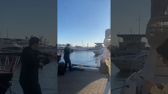 КИШ на скрипке в морпорту Сочи