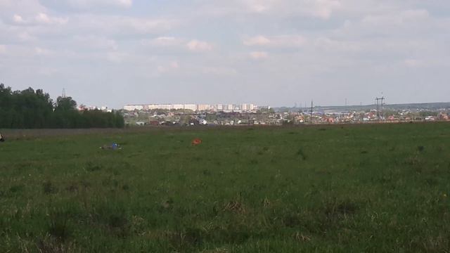 Уиппеты стандарт смотреть онлайн