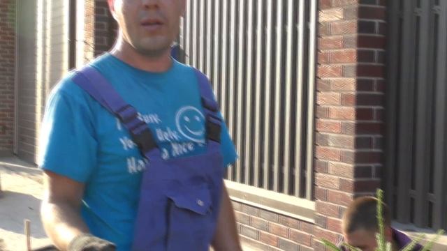 Правильная посадка Ёлок смотреть онлайн