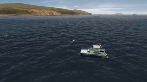 полет альбатроса.