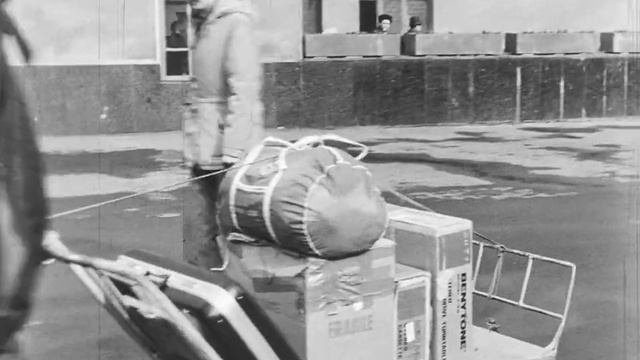 Расследованием установлено, 1983.