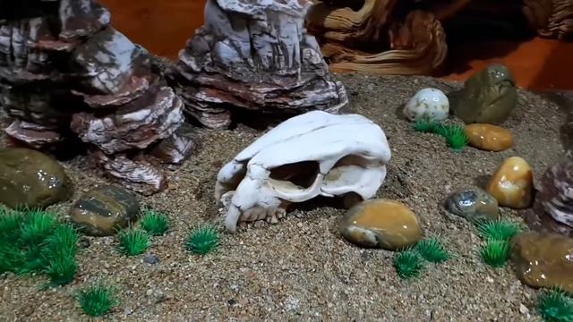 «Большой каньон» - вариант оформления аквариума. Серия DEKSI: «Каньоны» смотреть онлайн