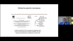 Dirofilaria immitis & Wolbachia - смертельная синергия