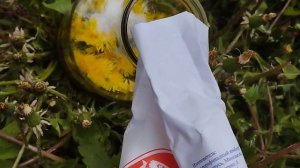 Одуванчики в сахаре