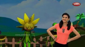Sunflower Song With Actions | Flower Rhymes For Babies | Learn Flowers For Kids | Toddlers Songs
