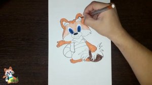 Раскраска Крошка Енот / Coloring Little Raccoon / Как раскрасить Крошку Енота