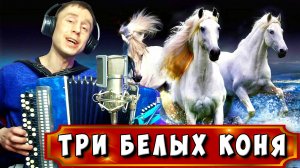 Три белых коня - песня из фильма "Чародеи" под баян! ???