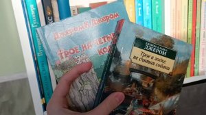 Обзор на мои книжные полки+новые книги ?