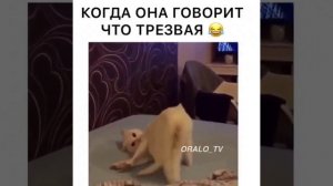 Когда она трезвая.