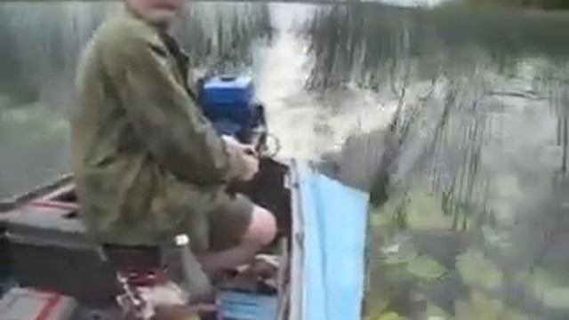 Подвесной болотоход Bawad113 Проходимость заросли рогоза