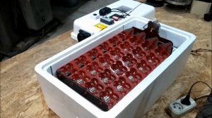 Инкубатор "НЕСУШКА". Мои доработки.