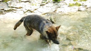 Прогулка на водопад Псахо