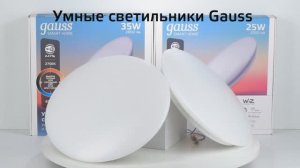 Настенно-потолочные светильники Gauss Smart Light