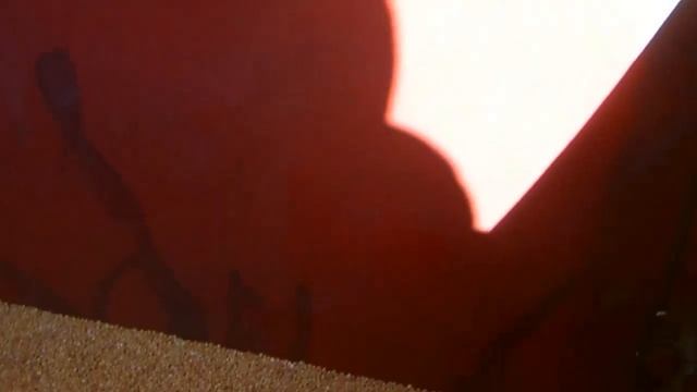 Сеем просо! смотреть онлайн