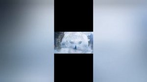 эволюция заставок шоу битва экстрасенссов