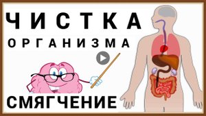 ЧИСТКА ОРГАНИЗМА - СМЯГЧЕНИЕ.mp4
