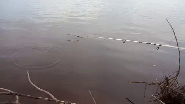 РЫБАЛКА НА РЕКЕ ПЕЧОРА!