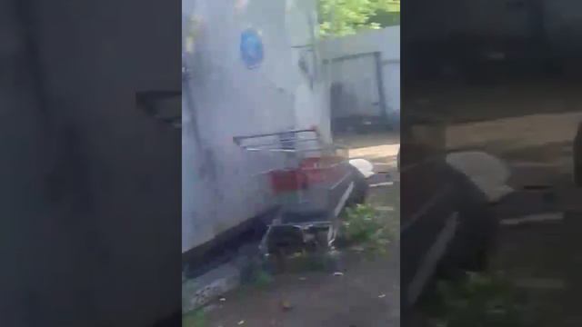 Дворняга дернула алабая смотреть онлайн