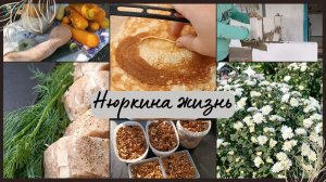 Говорю всё как есть // Медленно, но верно // Приготовила холодец // Начистили грецких орехов