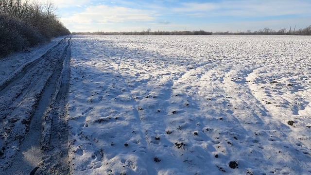 По следу за зайцем.Охота в краснодарском крае.Первый снег и первый след. смотреть онлайн