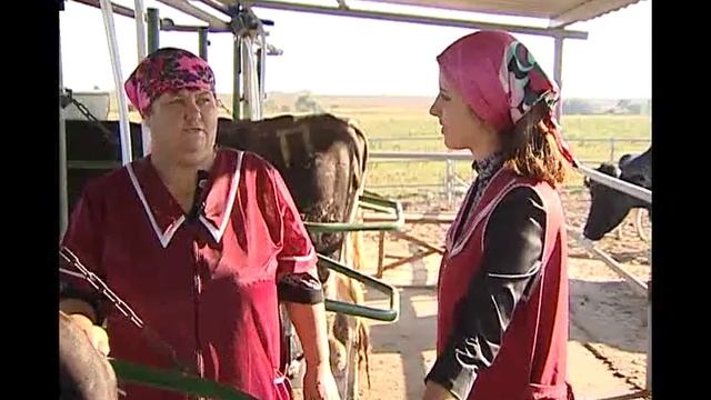 Есть такая профессия. Доярка смотреть онлайн