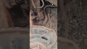 замена подшипника ступисного на Тойота Королла 120 кузов.