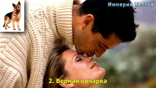 Тест! ВЫБЕРИ ПЁСИКА и узнай какой МУЖЧИНА ТЕБЕ ПОДХОДИТ? Тест расскажет правду