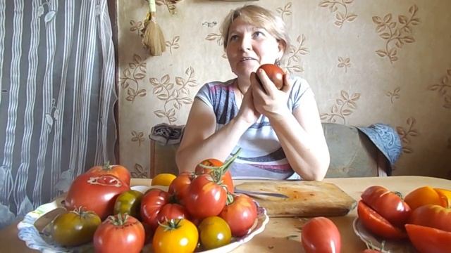 Лучшие сорта томатов в разрезе 2017 смотреть онлайн