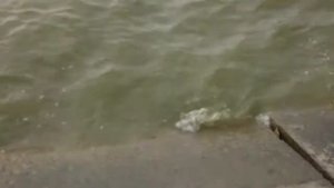 Азовское море"Красный десант"