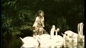 THE WILD SWANS / METSLUIGED 1987 / videoversioon © Myth Film