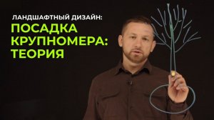 Теория правильной посадки крупномеров деревьев. Лекция 11.