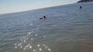 Санаторий Зорька идем на пляж