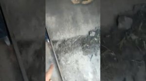 Пика на ковш для погрузки рулонов