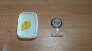 Магнитное поле Земли