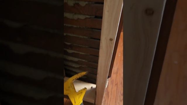 Unique hammer combo tool