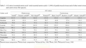 Рассчитываем биофильтр, часть 1