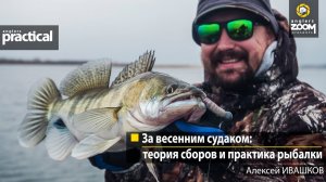 За весенним судаком: теория сборов и практика рыбалки. Алексей Ивашков. Anglers Practical