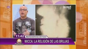 Brujas de Valparaíso confiesan que practican la wicca