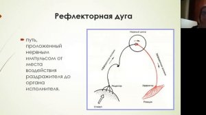 Физиология (1веб).mp4