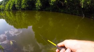 Ловля трофейных язей и голавлей ультралайтом на малой реке. Часть первая.