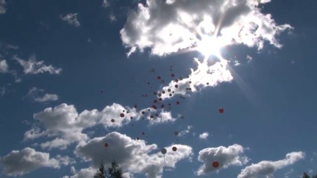 Школа 548   80 лет
