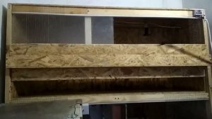 Пухопероед. Обработка брудеров.