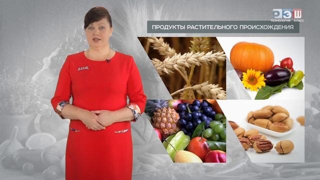 Организация рационального питания и пищевые продукты
