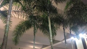 Аэропорт Бангалора. Сколько стоят квартиры в Бангалоре. Самый дешёвый и безопасный транспорт.