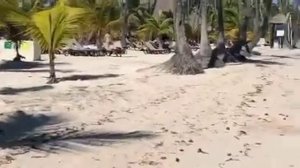 Пунта Кана.Репортаж с райского пляжа